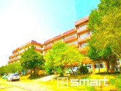 松戸市立河原塚小学校
