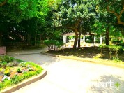 田喜野井公園