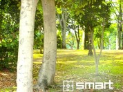 松葉第一近隣公園