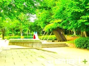大津ケ丘中央公園