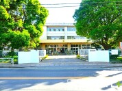 酒井根東小学校
