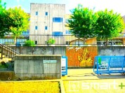 松葉第一小学校