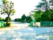 柏第八小学校