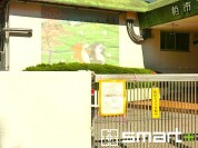 松葉保育園