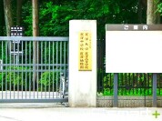 麗澤幼稚園