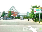 清水公園