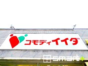 コモディイイダ