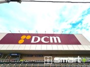 DCM