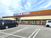 マルヤ沼南店