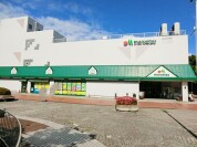 マルエツ北柏店