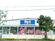 ビッグ・エー木下店