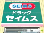 ドラッグセイムス