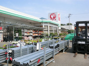 コメリハード＆グリーン　関宿店