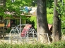幼稚園