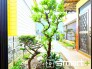 ～綺麗にお使いの外観～
・外観も綺麗にお使いなので、築年数を感じさせない見た目となっております。
・外壁や屋根のリフォームなどをお考えの方もお気軽にご相談くださいませ。
