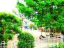 幼稚園
