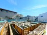 2号棟 ～風にも強い強靭な建物～
・住宅性能評価において「耐風等級２」を取得。
・大型の台風など暴風にも耐える、強靭な建物となっております。
