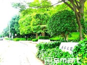 南部公園