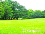 県立柏の葉公園