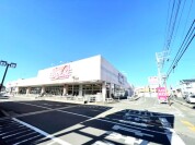 ベルクス南柏店