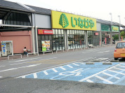 いなげや野田みずき店